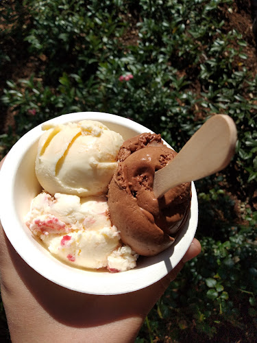 Duck Island Ice Cream - Hospitality and gastronomy