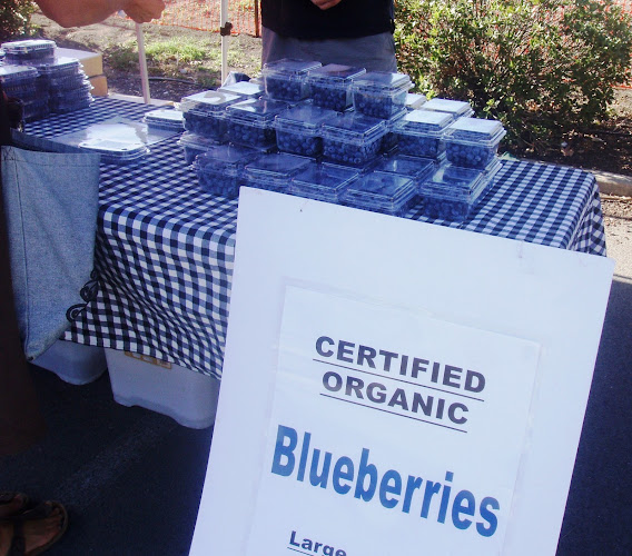 South Christchurch Farmers' Market - Hospitality and gastronomy
