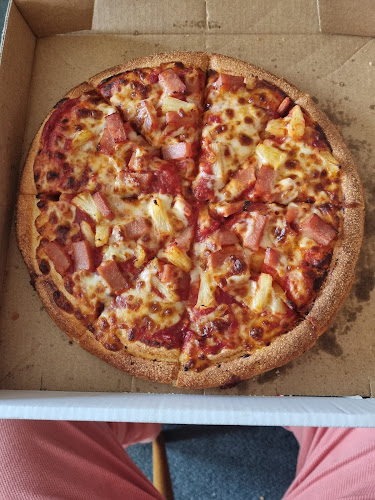 Comentarii opinii despre Domino's Pizza Dunedin North