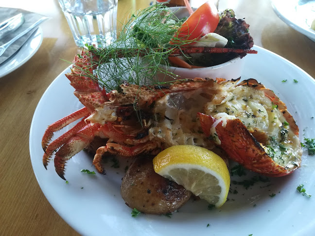 Green Dolphin Restaurant and Bar - Hospitality and gastronomy