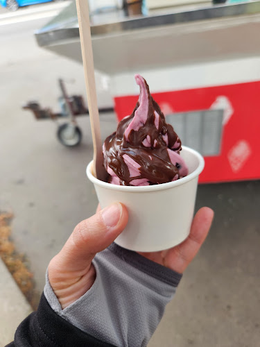 Fuse Real Fruit Ice Cream - Hospitality and gastronomy