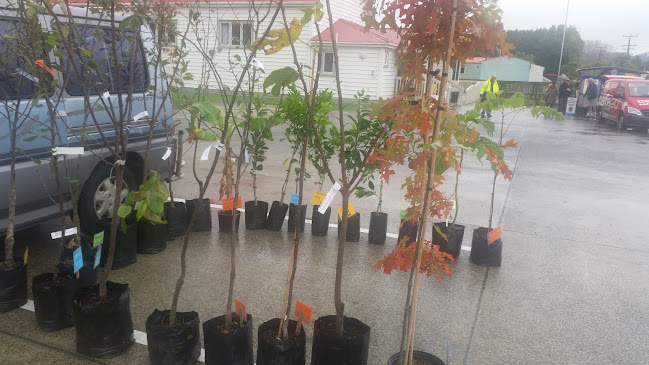 Comentarii opinii despre The Village Market Helensville Showgrounds