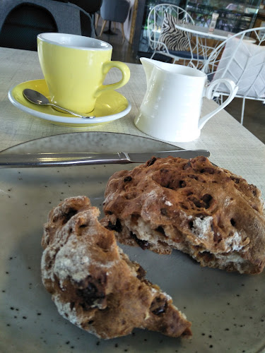 Texture Cafe - Hospitality and gastronomy