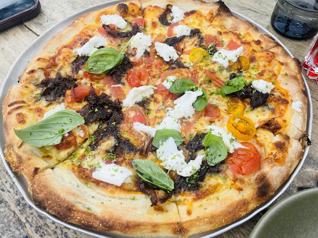 Comentarii opinii despre Fantail & Turtle