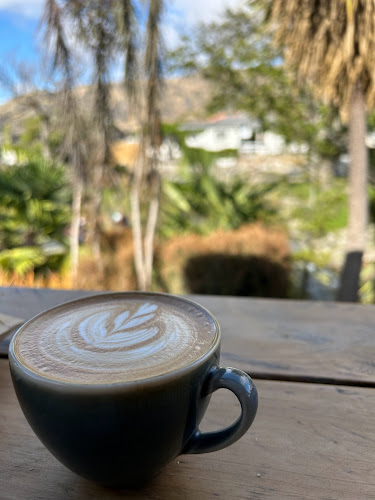 Curbside Coffee & Bagels - Hospitality and gastronomy