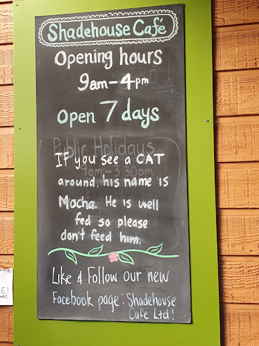 Shadehouse Cafe - Hospitality and gastronomy