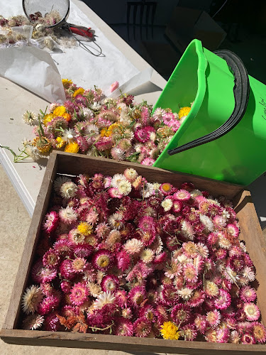 GreenBow Flora - Whatawhata