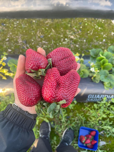 Kimberley Gardens - Hospitality and gastronomy