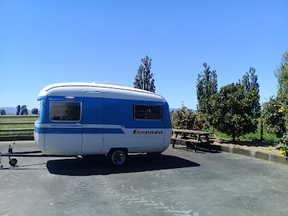 Essenza Coffee Company - Roastery