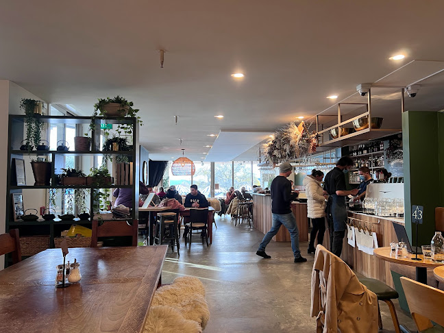 Alchemy Bar & Bistro - Brunch & Dinner Wanaka - Hospitality and gastronomy