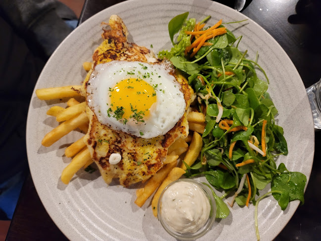 Opinii despre The Black Dog Kitchen & Bar în Dunedin - Hospitality and gastronomy