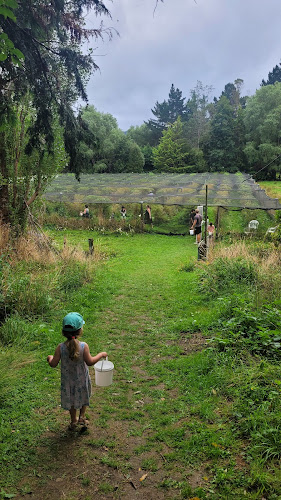 971 Whitemans Valley Road, Whitemans Valley, Upper Hutt 5371, New Zealand