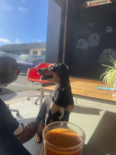 Common Ground Espresso - Hospitality and gastronomy