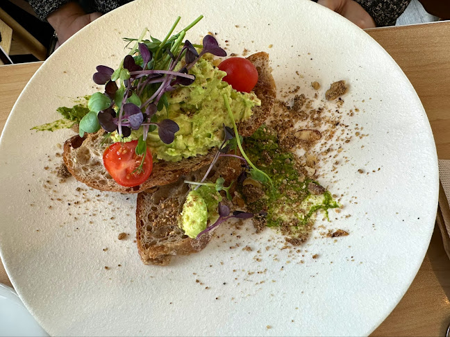 THE ORIGIN Open Times