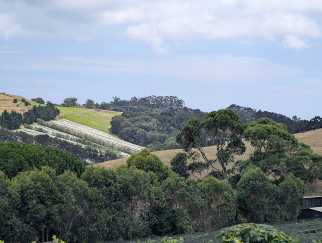 Stonyridge Vineyard - Hospitality and gastronomy