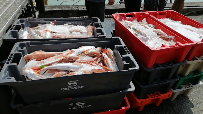 Raglan Fish - Hospitality and gastronomy