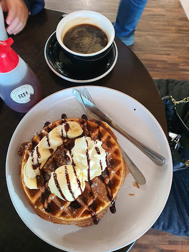 Robert Harris Cafe Albany