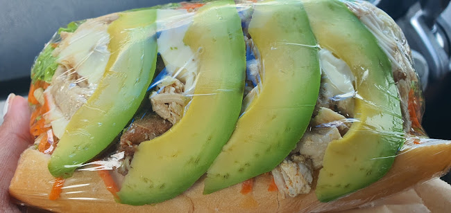 49 Sunnybrae Road, Hillcrest, Auckland 0627, New Zealand