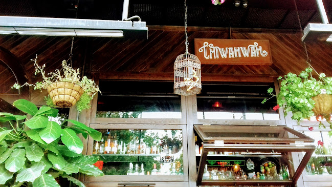 Chiwahwah Mexican Cantina Bar Phone number