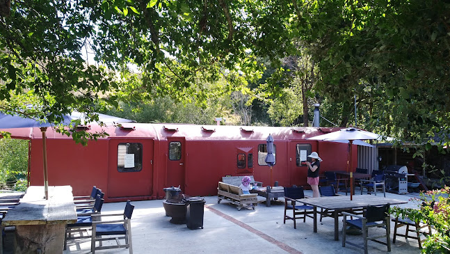 Blueberry Fields Forever (PYO) - Upper Hutt