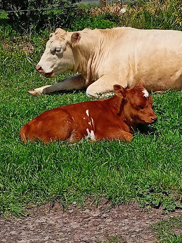 Comments and reviews of R n' Bees Berry Farm