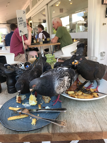 Cornwall Park Pohutakawa Drive, Epsom, Auckland 1051, New Zealand