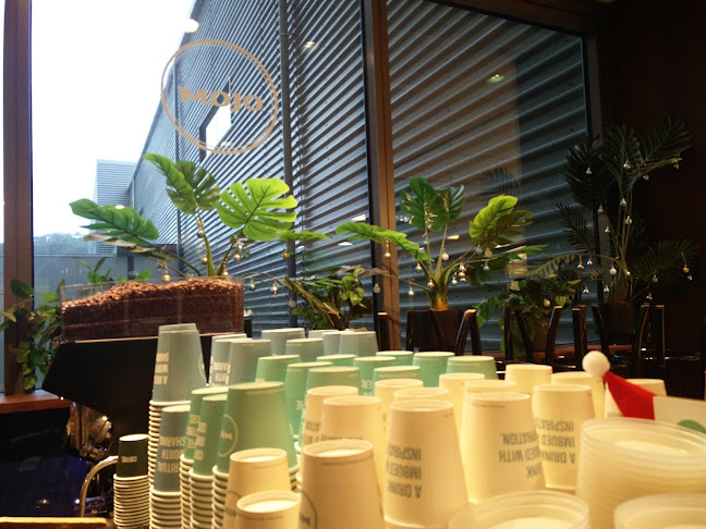 Comentarii opinii despre Mojo Hospital CSB