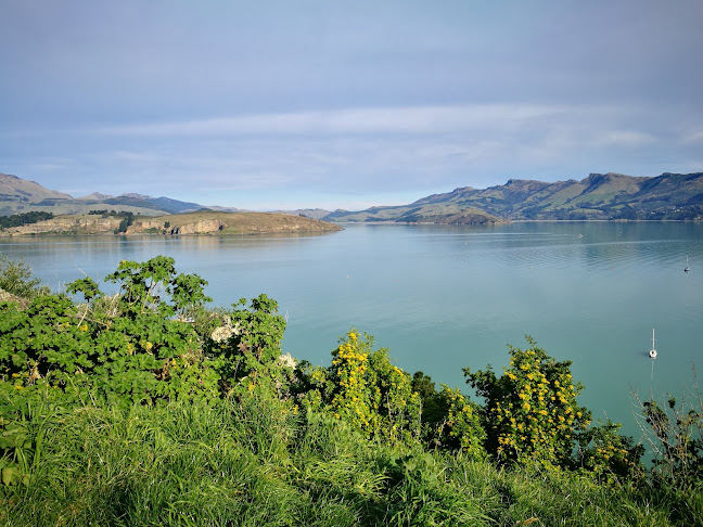 Lyttelton Coffee Co. Open Times