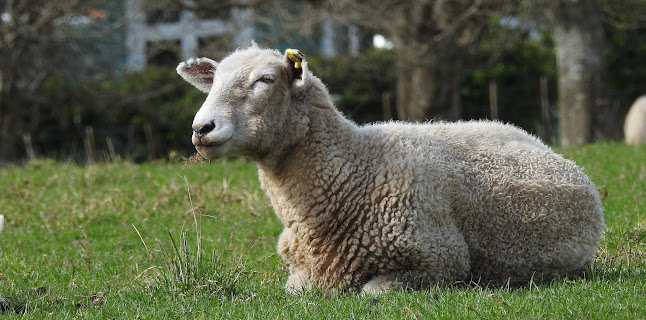 Cornwall Park Pohutakawa Drive, Epsom, Auckland 1051, New Zealand