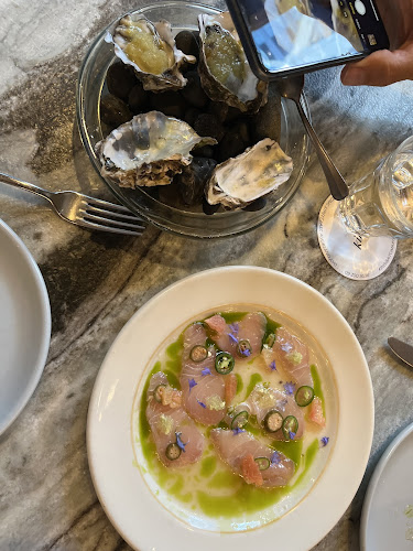 kingi - Hospitality and gastronomy