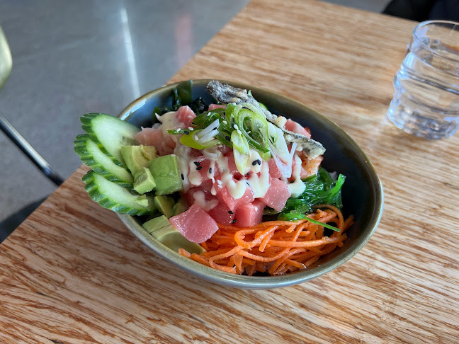 Comentarii opinii despre Ditto