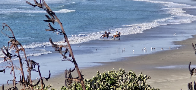 Opinii despre Bidz Takeaways în Ahipara - Hospitality and gastronomy