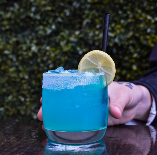 Shady Lady - Hospitality and gastronomy