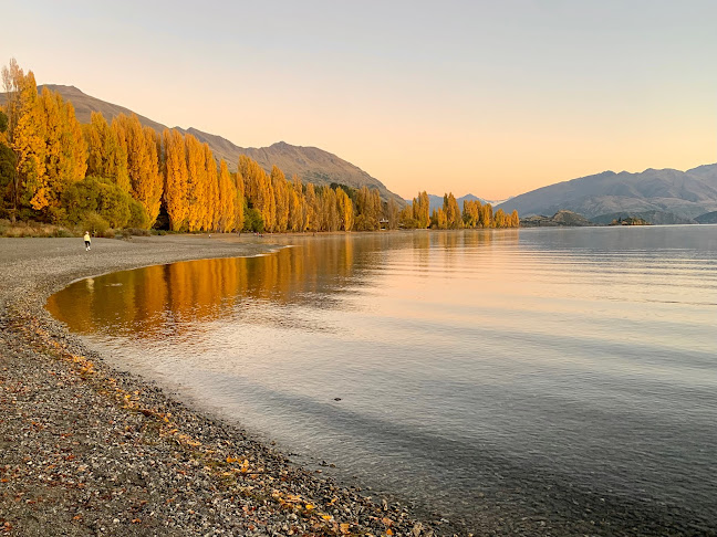 Muttonbird - Hospitality and gastronomy