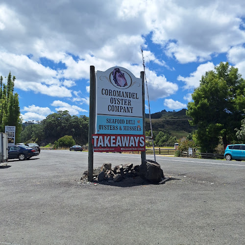 Coromandel Oyster Company - Coromandel