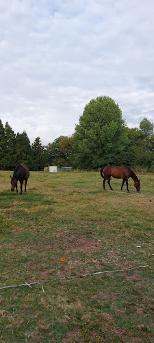 546 Tirau Road, Leamington, Cambridge 3496, New Zealand