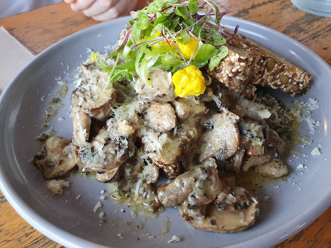 Comentarii opinii despre Clementine