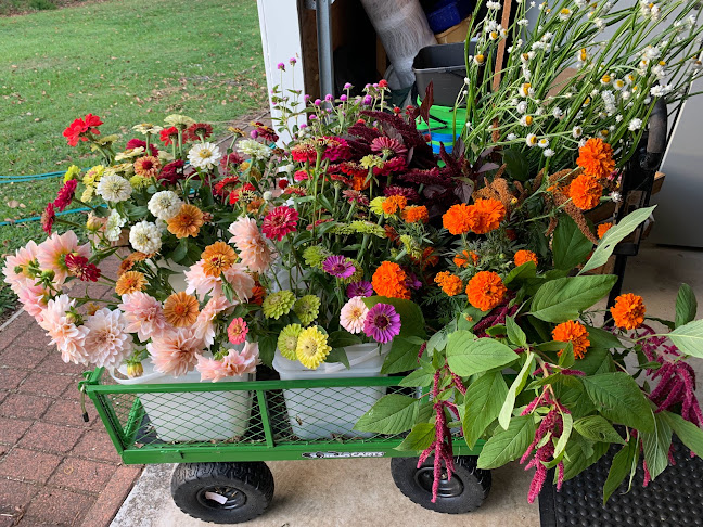 199 Bowman Road, R.D.9, Whatawhata 3289, New Zealand