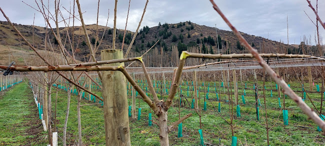 330 Ripponvale Road, Cromwell 9384, New Zealand