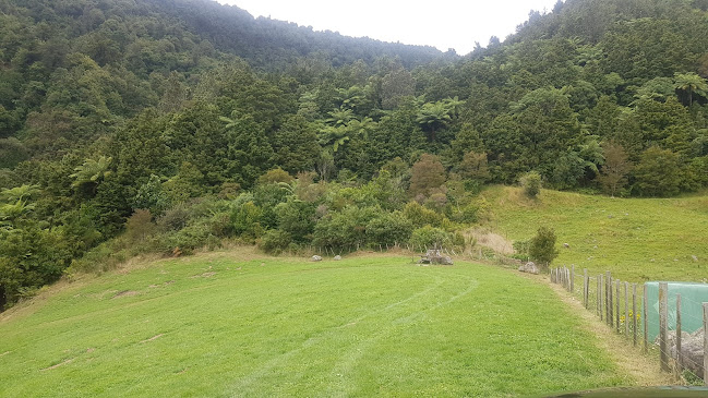 Paddock 66 - Hospitality and gastronomy