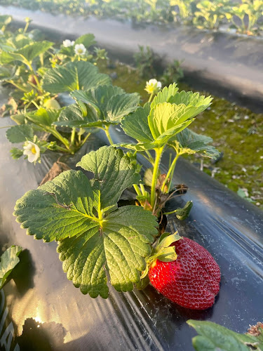 Kimberley Gardens - Hospitality and gastronomy