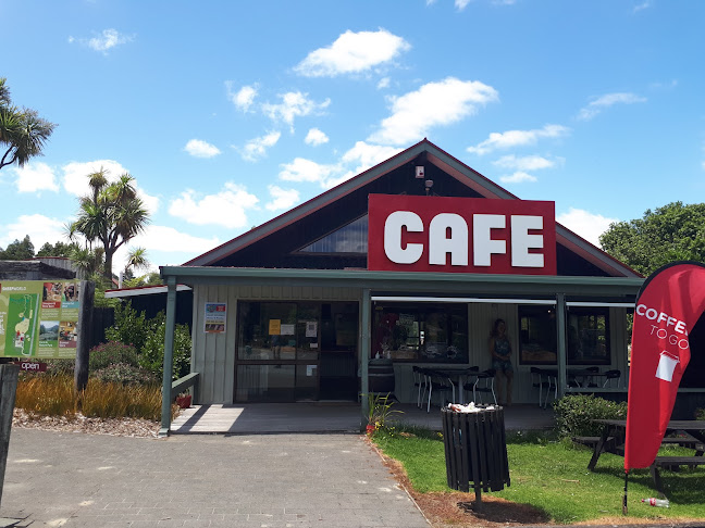 Berries Cafe & Organic Ice Creamery