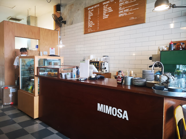 Comments and reviews of Mimosa