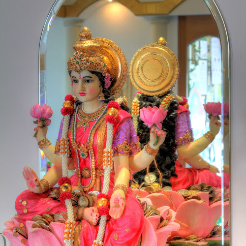 Comentarii opinii despre The Lotus-Heart