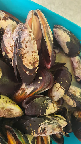 Comentarii opinii despre Marina Pizza