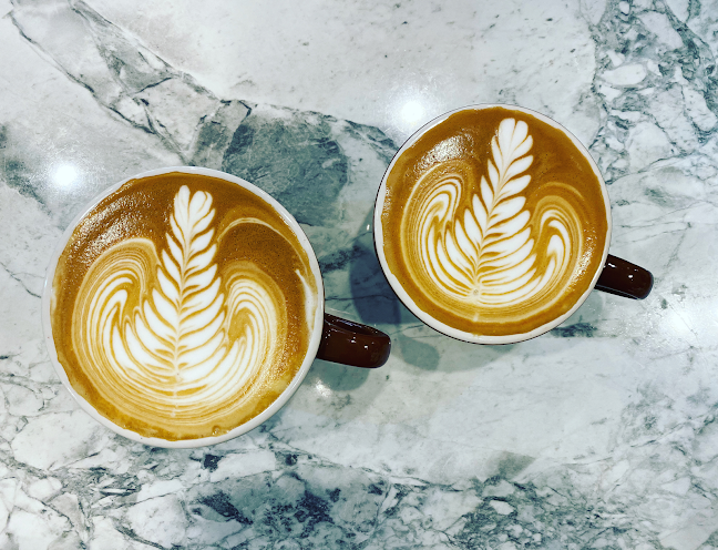 Groovy Mount Maunganui