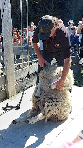 Reviews of Pencarrow Lodge in Lower Hutt - Hospitality and gastronomy