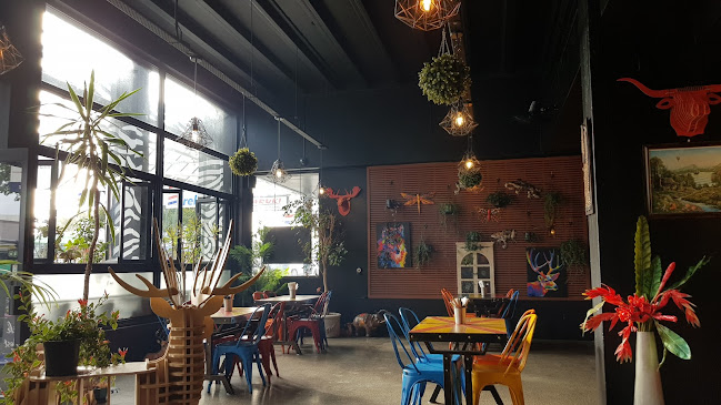 Wood Brothers - Auckland