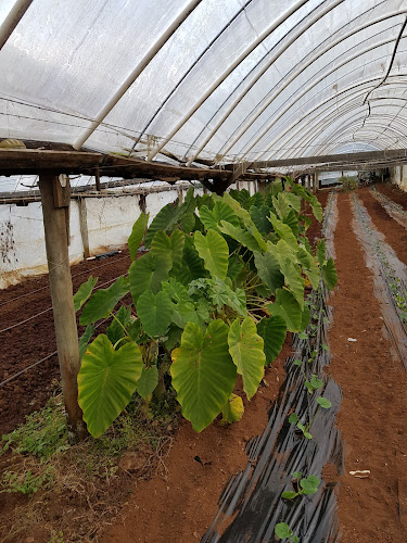 34 Hawken Road, Maunu, Whangārei 0179, New Zealand