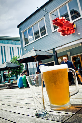 One Red Dog - Wellington